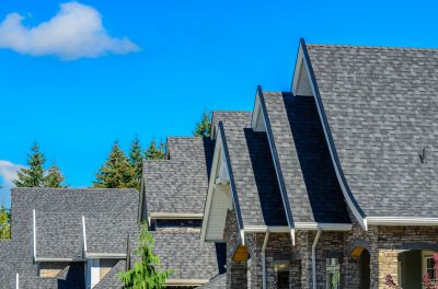 Specialized Roofing Teams